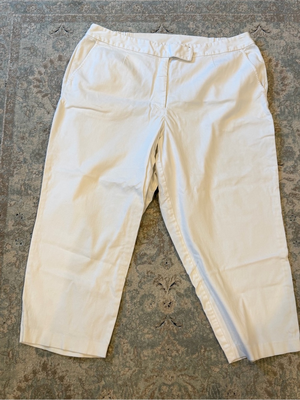 Sigrid Olsen 22W tan Cotton Casual Pants LIKE NEW NO IMPERFECTIONS plus sized